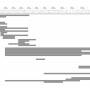 gantt-chart_12.06.jpg